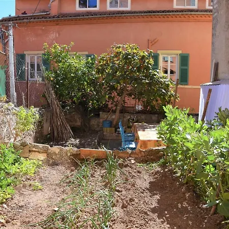Apartment Tamarillo *